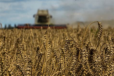 news today ukraine grain